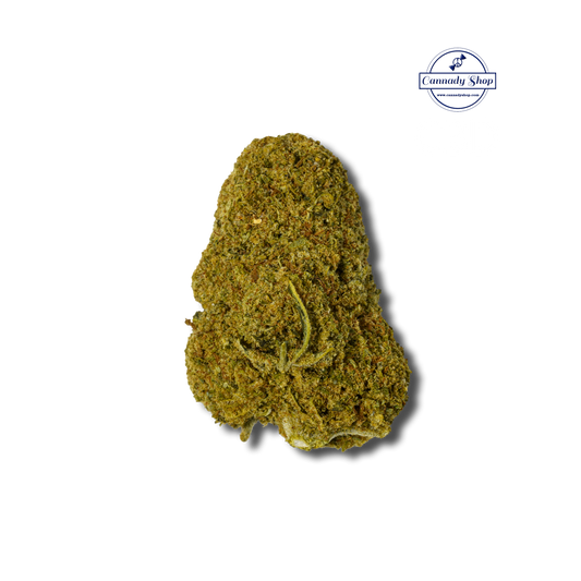 Cannady Shop Dom Perignon CBD Hemp Flower