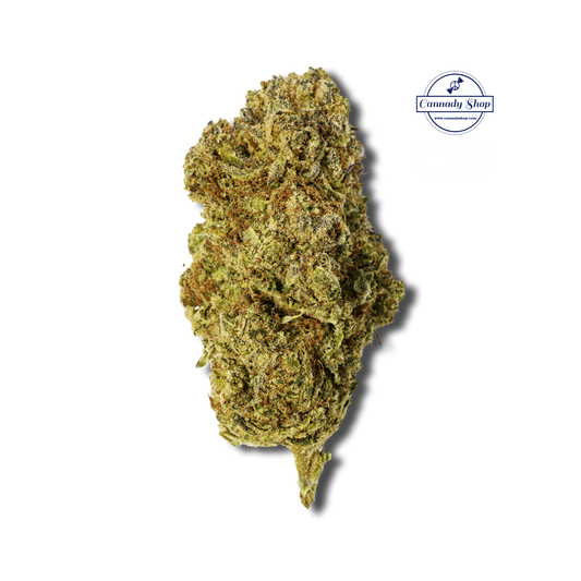 Cannady Shop Velvet CBD Hemp Flower